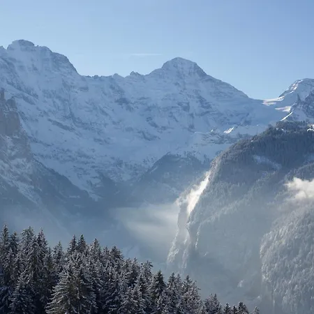 Cozy In Wengen With Views
