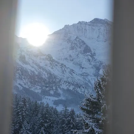Cozy In Wengen With Views * Lauterbrunnen