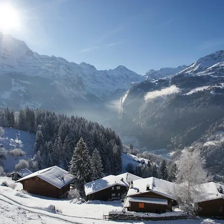 Cozy In Wengen With Views *