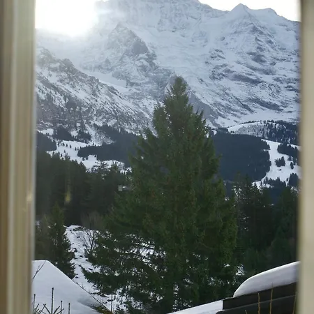 Cozy In Wengen With Views *