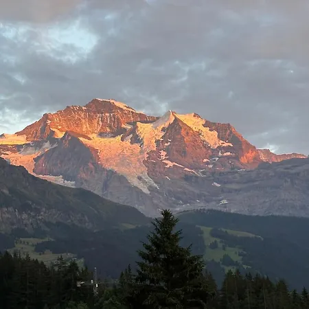 Cozy In Wengen With Views