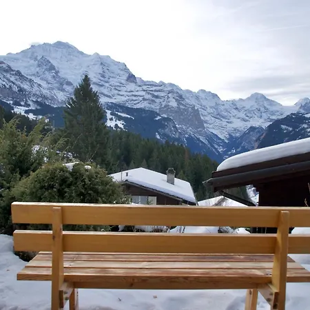 Cozy In Wengen With Views 라우터브루넨