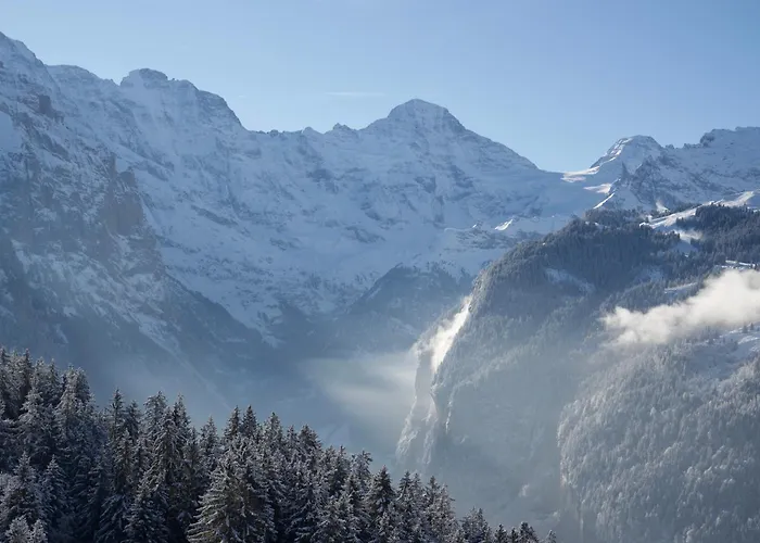 Cozy In Wengen With Views