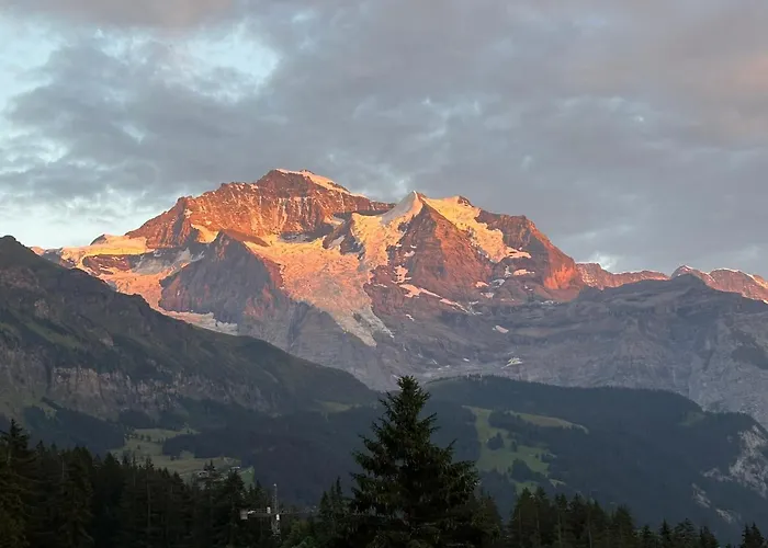Cozy In Wengen With Views