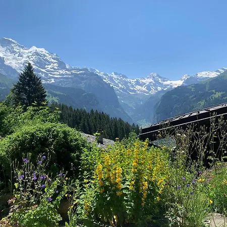 아파트 Cozy In Wengen With Views