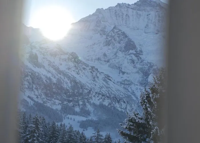 Cozy In Wengen With Views * 라우터브루넨