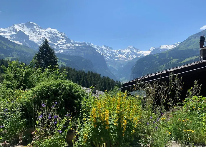 아파트 Cozy In Wengen With Views