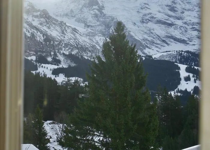 Cozy In Wengen With Views *