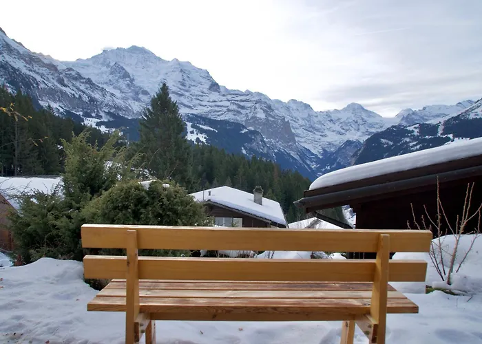 Cozy In Wengen With Views 라우터브루넨